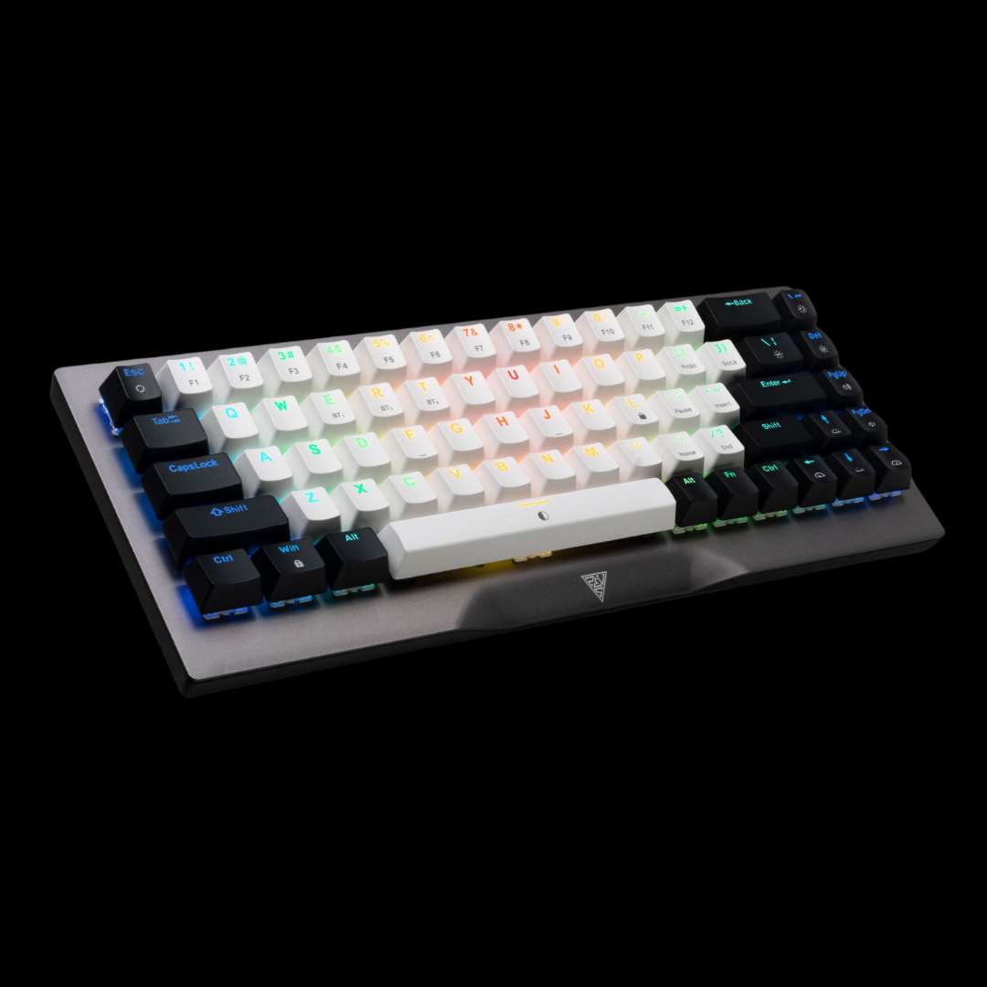 Gamdias Hermes M4 Hybrid - Keyboard